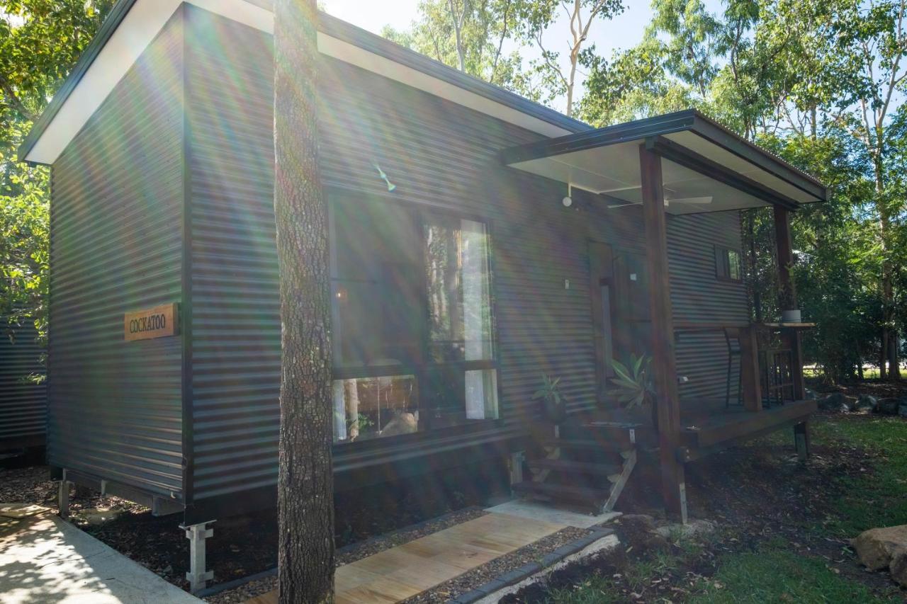 Airlie Beach Eco Cabins - Adults Only Bagian luar foto