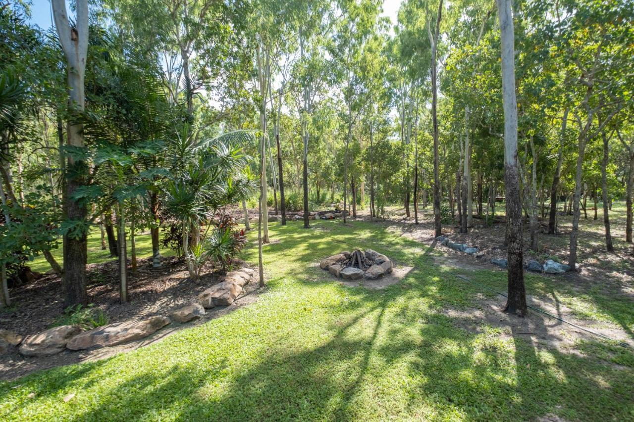Airlie Beach Eco Cabins - Adults Only Bagian luar foto