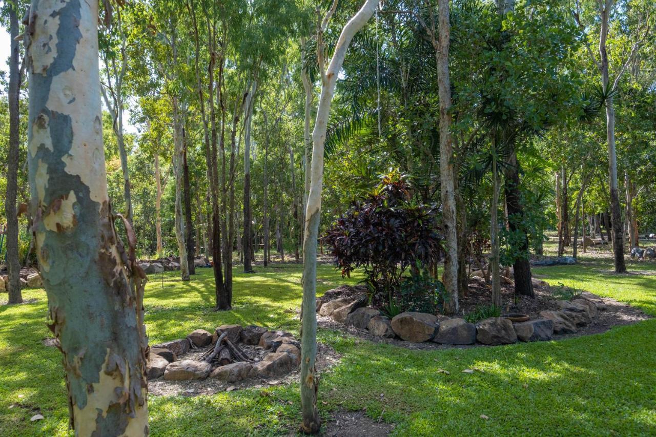 Airlie Beach Eco Cabins - Adults Only Bagian luar foto