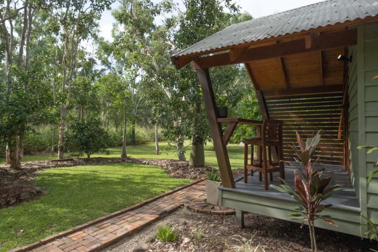 Airlie Beach Eco Cabins - Adults Only Bagian luar foto
