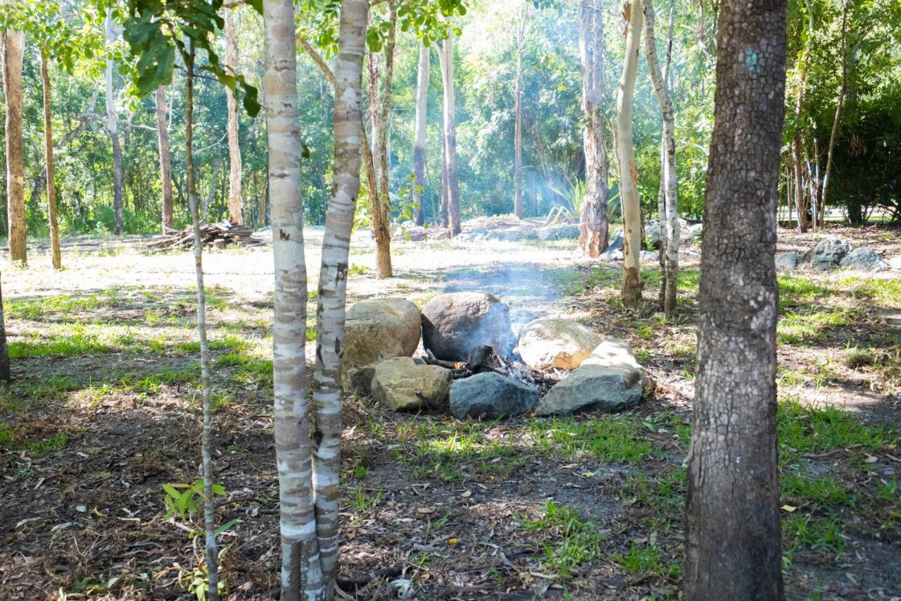 Airlie Beach Eco Cabins - Adults Only Bagian luar foto