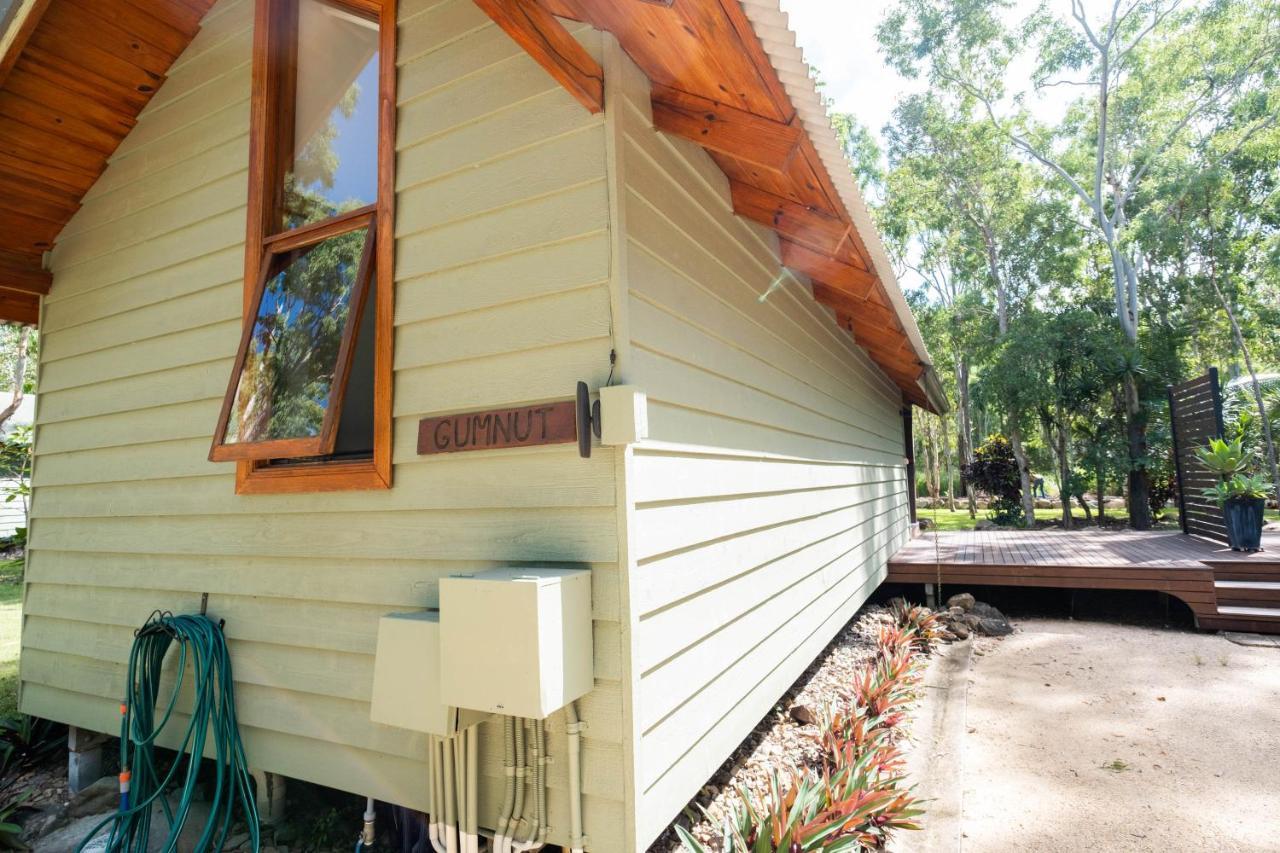 Airlie Beach Eco Cabins - Adults Only Bagian luar foto