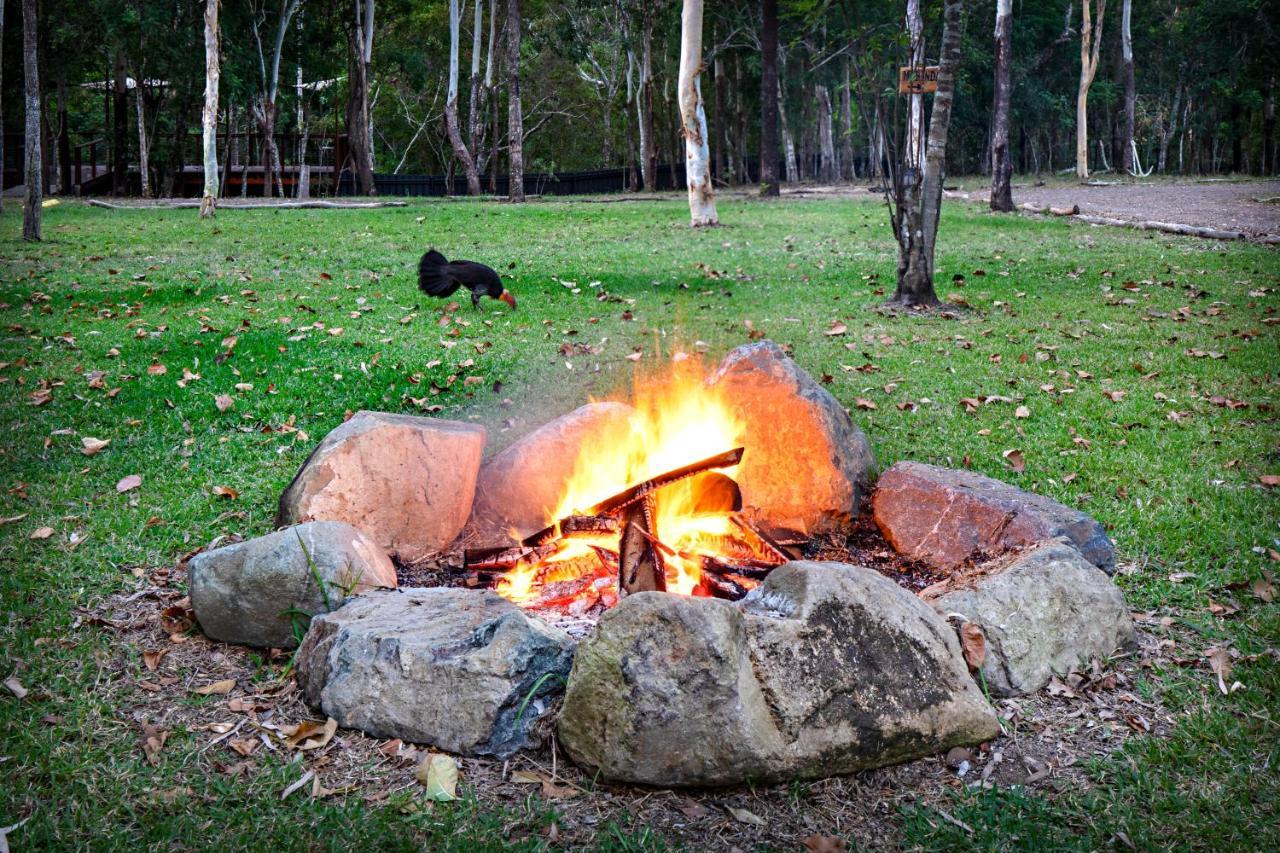 Airlie Beach Eco Cabins - Adults Only Bagian luar foto