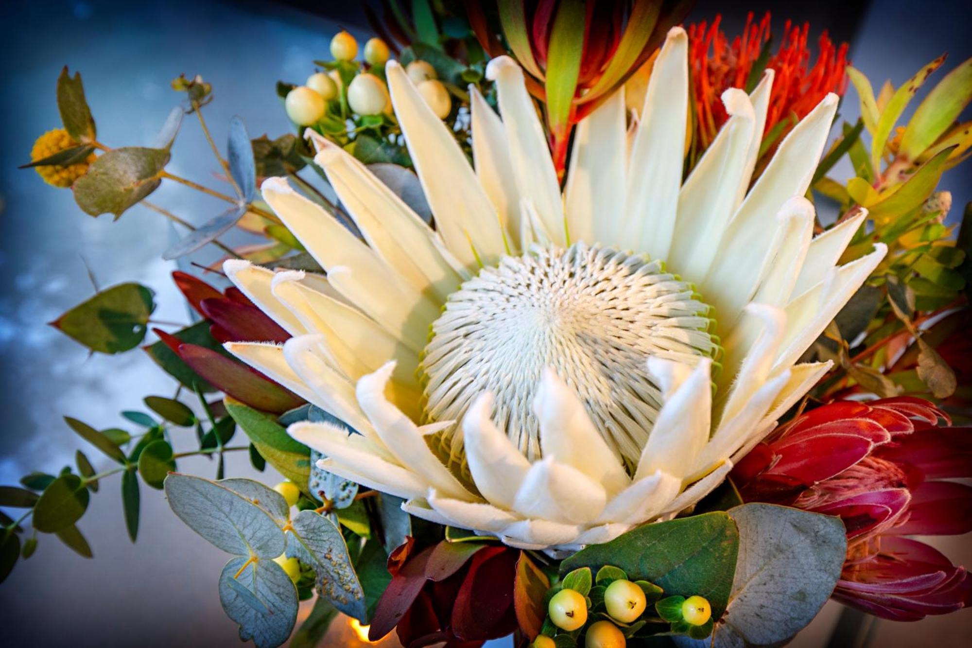 Airlie Beach Eco Cabins - Adults Only Bagian luar foto