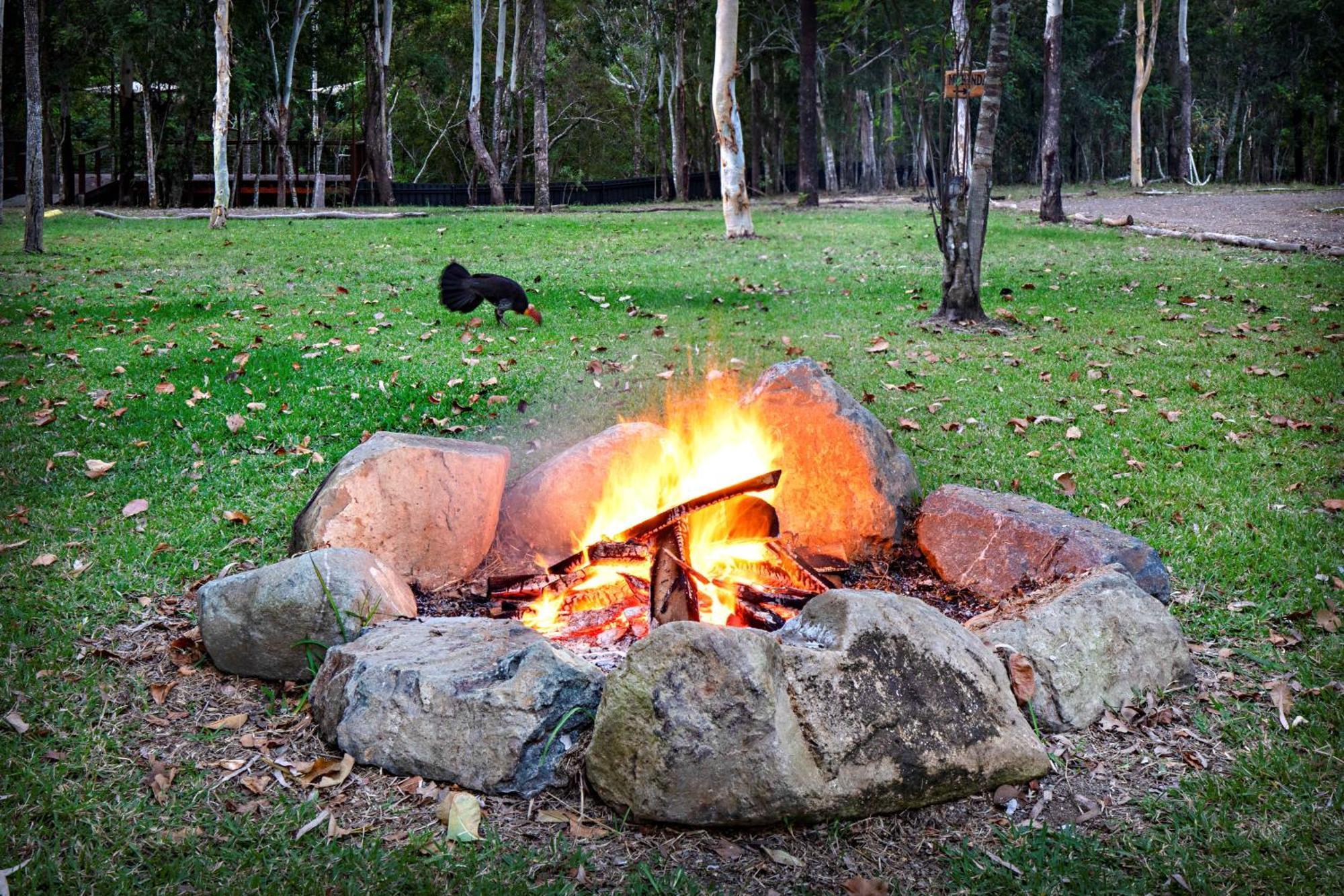 Airlie Beach Eco Cabins - Adults Only Bagian luar foto
